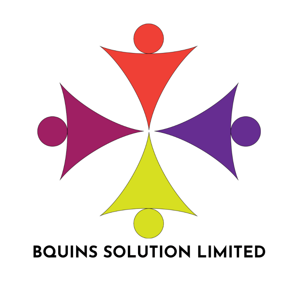 Bquins Solutions Logo